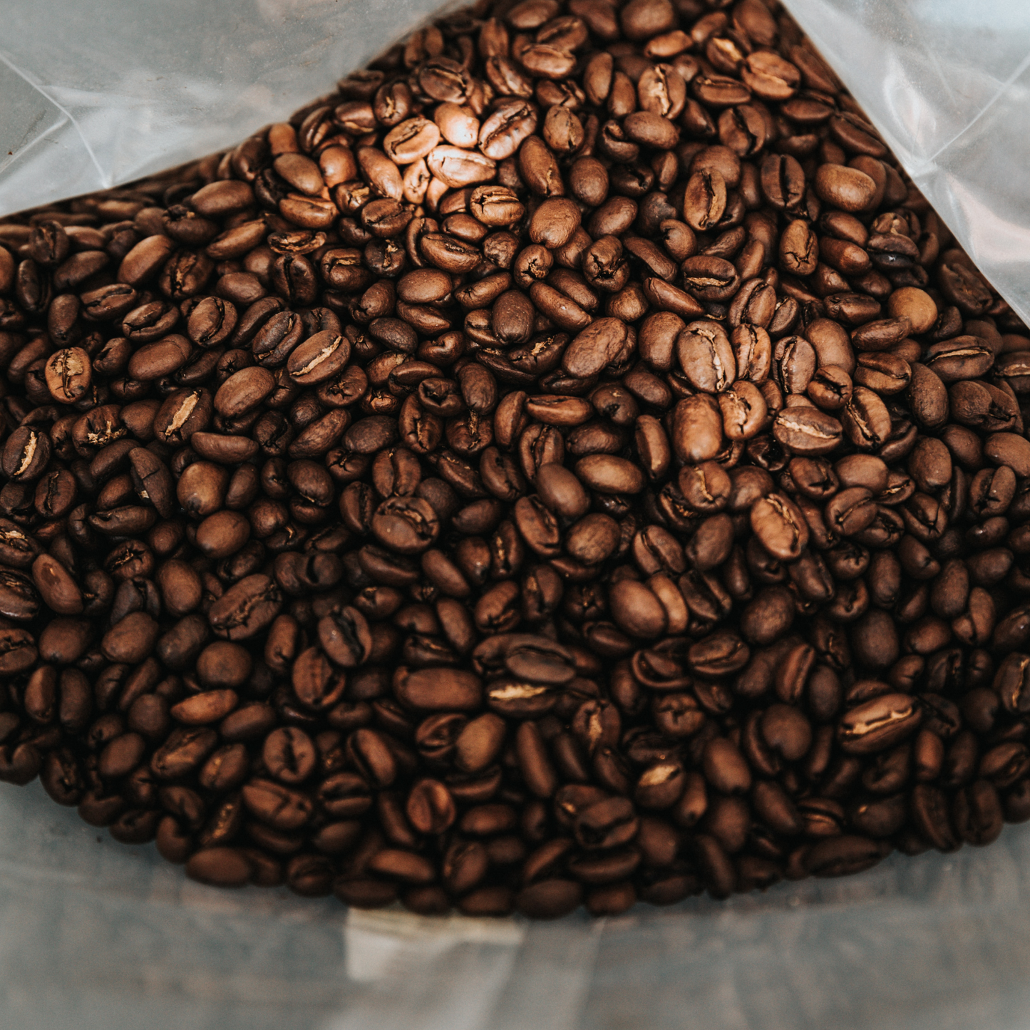 Project 14 Medium Roast